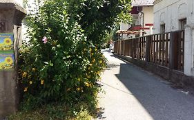 Sunflower Accommodation